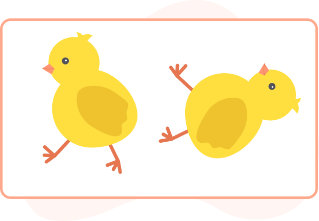 Clockwise rotation of Chicken