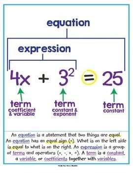 difference between expression and equation