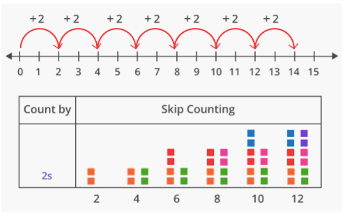 Skip count using a number line.