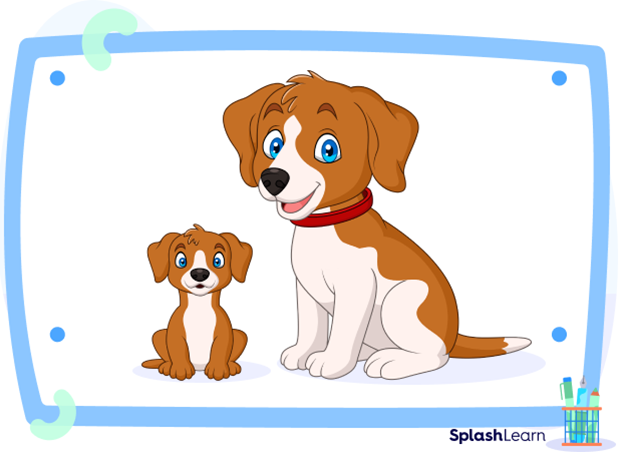 Example to illustrate weight depends on the size Example to illustrate weight depends on the size