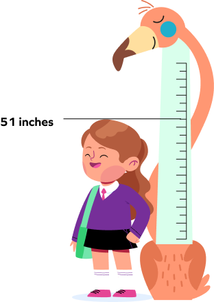 height in inches height in inches