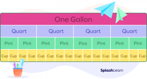 What Is a Pint in Math? Definition, Types, Examples, Facts