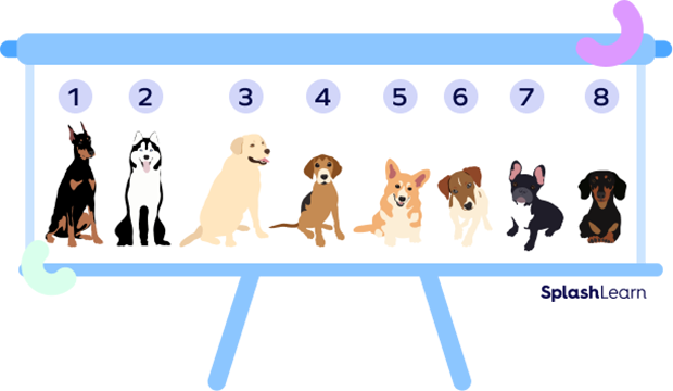 8 dogs in a row: count using cardinal numbers