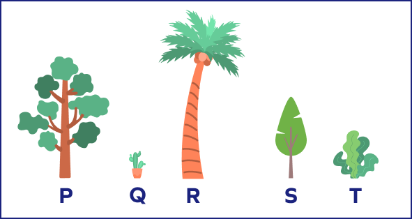 Sorting in Math – Definition, Examples, Facts