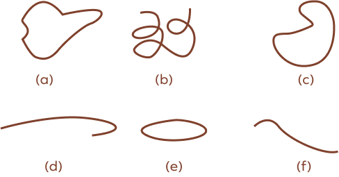 Identifying closed and open curves Identifying closed and open curves