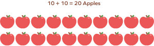Two equal shares of twenty apples