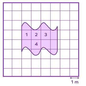 Area of irregular shape Area of irregular shape