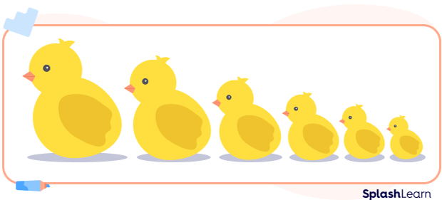 chickens arranged in descending order of their size chickens arranged in descending order of their size