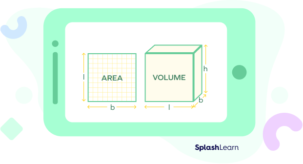 Finding Area versus Finding Volume