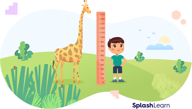Height of a giraffe and a boy