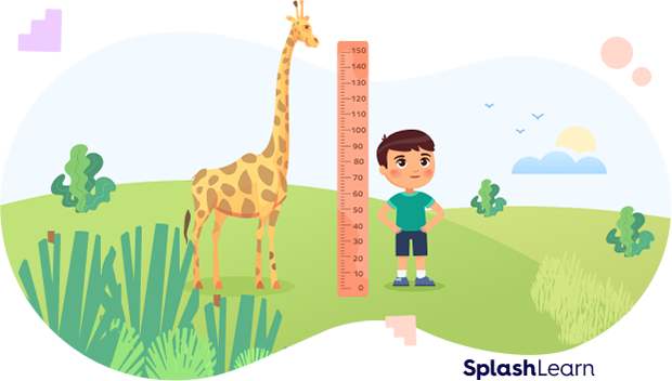 Height of a giraffe and a boy Height of a giraffe and a boy