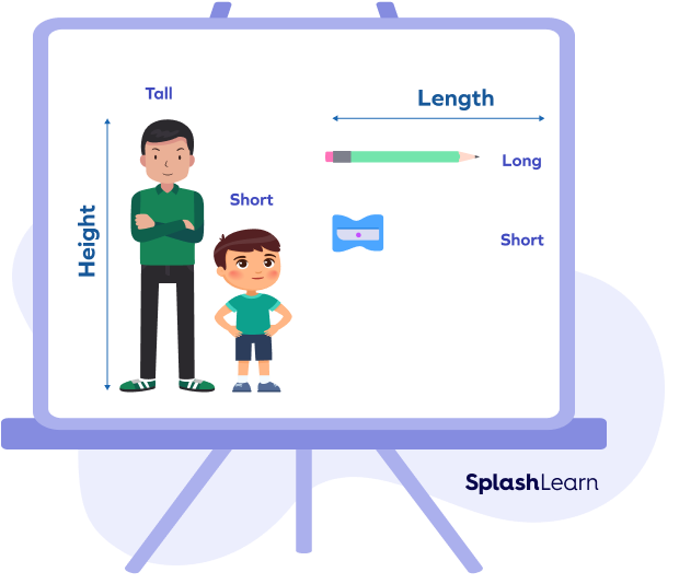 Comparing length and height