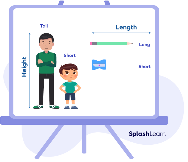 Comparing length and height Comparing length and height