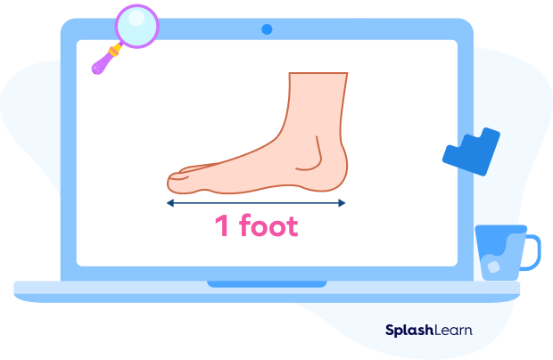 Average length of human foot