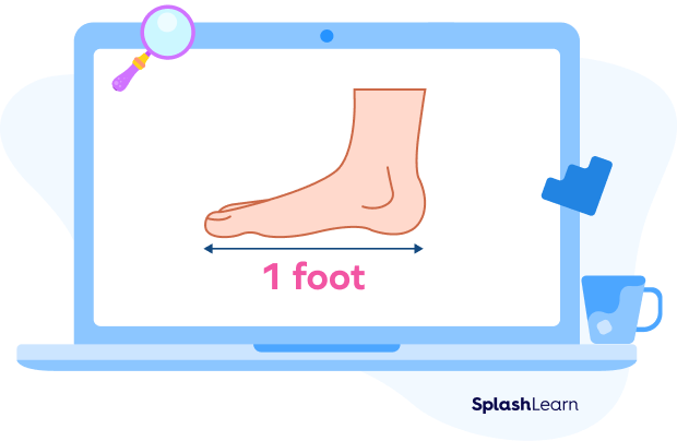 Average length of human foot Average length of human foot