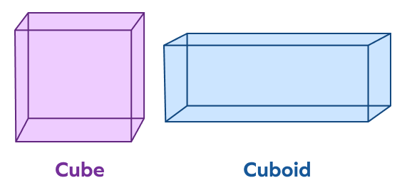 Cube and cuboid