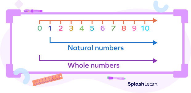 Whole numbers and natural numbers on the number line