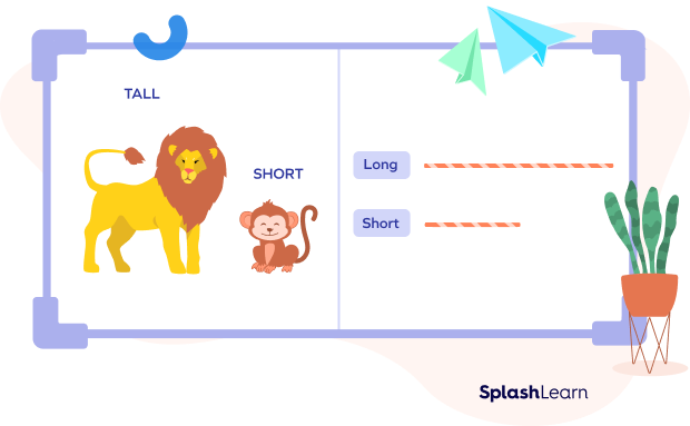 Using “short” to compare height and length Using “short” to compare height and length