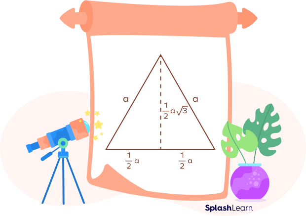 The height of the equilateral triangle