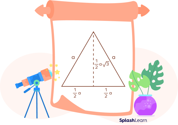 The height of the equilateral triangle The height of the equilateral triangle