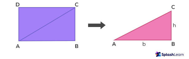 Rectangle divided into two congruent right triangles by its diagonal