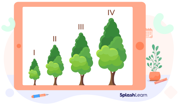 Four trees with unequal heights
