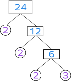 Factor tree of 24