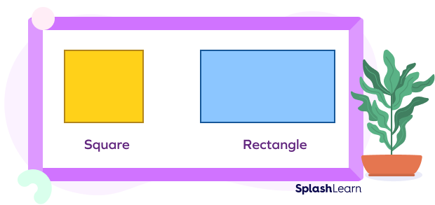 Difference between Square and Rectangle – Definition, Examples, FAQs
