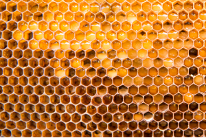 Honeycomb