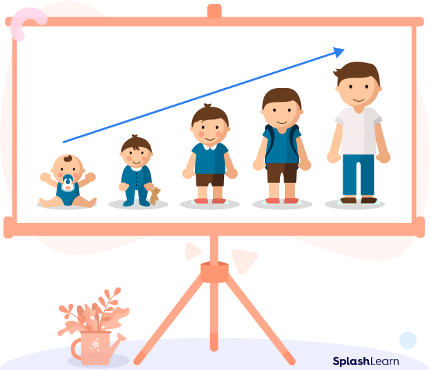 Ascending order of heights Ascending order of heights