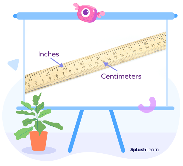 Wooden Meter Stick: Plain Edge - Measurement