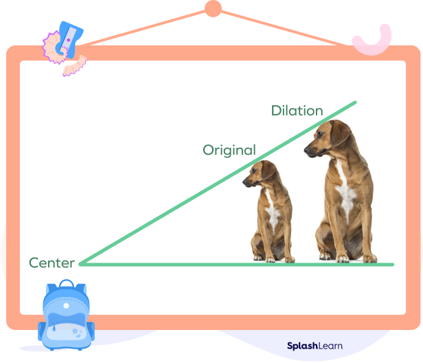 Center of dilation explained using original and enlarged images of a dog