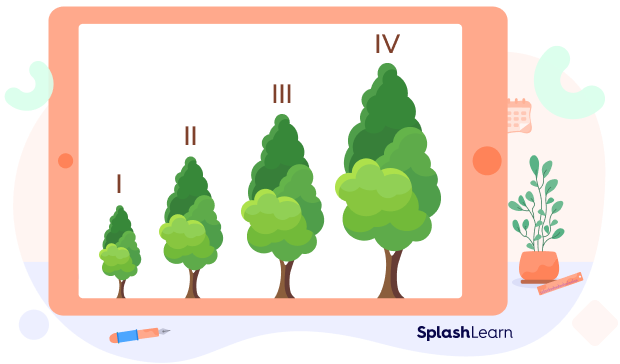 Four trees with unequal heights