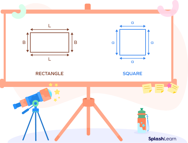 Shape and dimensions of rectangle and square