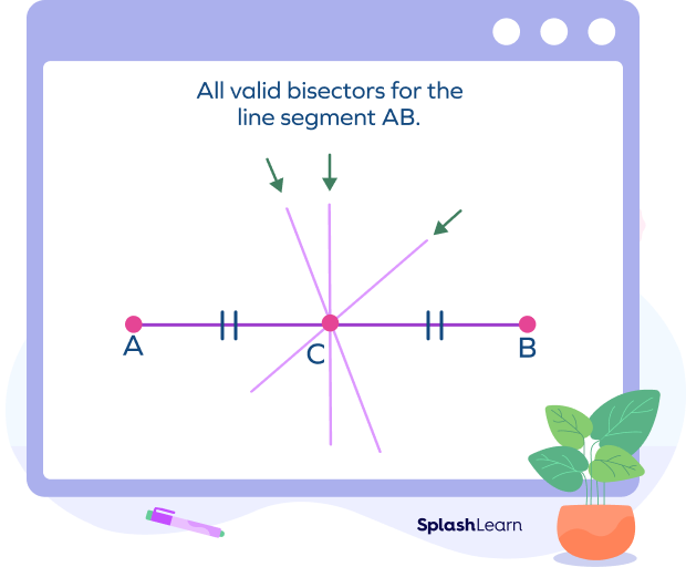 Infinitely many segment bisectors are possible