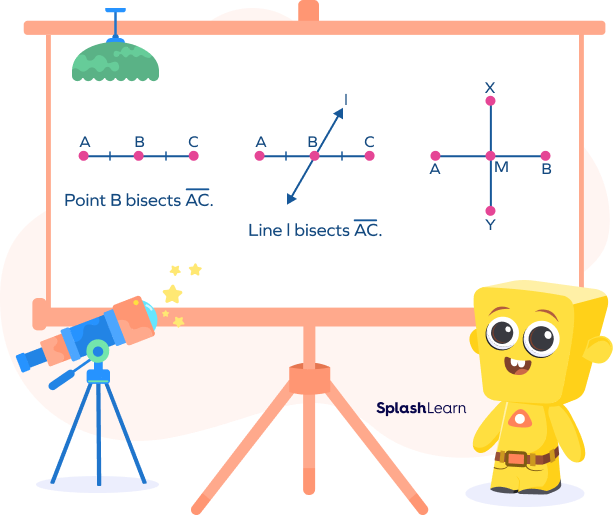 Examples of a segment bisector