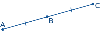 Segment Bisector &#8211; Definition, Types, Facts, Examples, FAQs