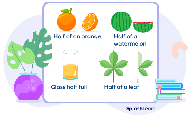 Understanding the meaning of half using everyday objects