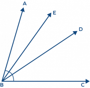 Bisect: Meaning, Formula, Examples, Facts