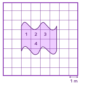Area of irregular shape