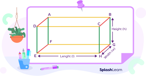 Edges of cuboid