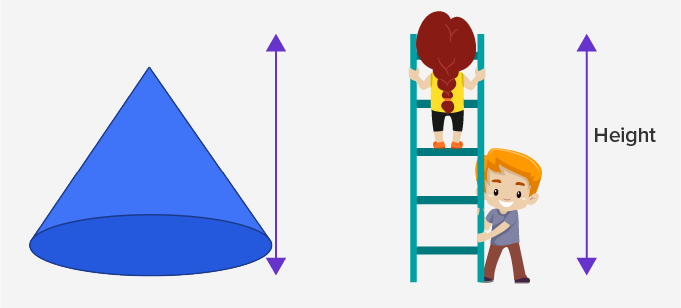 linear measurement between the top and bottom of an object.