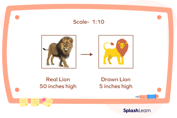 Scale for Real and Drawn Lion