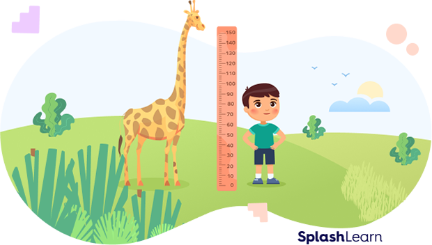 Height of a giraffe and a boy