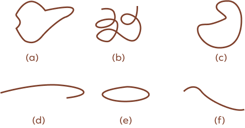 Identifying closed and open curves