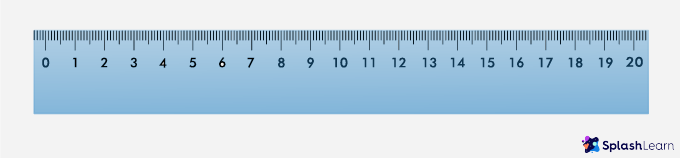 A scale or a ruler