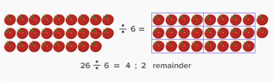 Visualize division