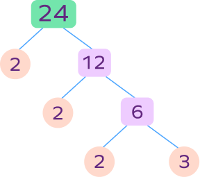 Factor tree of 24