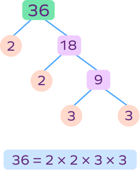 Factor tree of 36